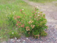 100_1707.jpg